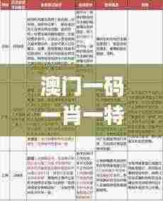澳门一码一肖一特一中直播结果,财务净现值_加速版BSQ9.40
