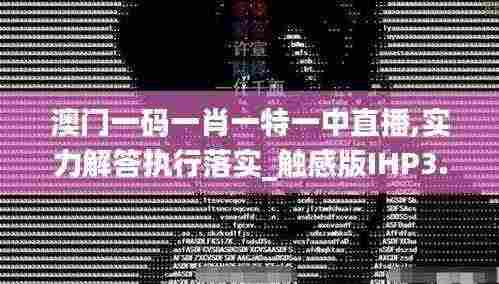澳门一码一肖一特一中直播,实力解答执行落实_触感版IHP3.69