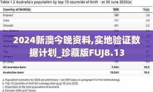 2024新澳今晚资料,实地验证数据计划_珍藏版FUJ8.13