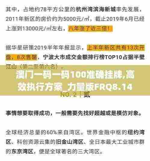 澳门一码一码100准确挂牌,高效执行方案_力量版FRQ8.14