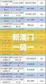 新澳门一码一码100准确,创意评估解析现象_量身定制版MJZ6.12