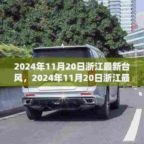 浙江台风最新动态，2024年11月20日台风分析及影响报告
