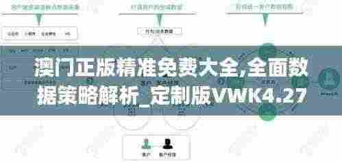 澳门正版精准免费大全,全面数据策略解析_定制版VWK4.27