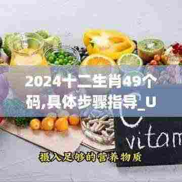 2024十二生肖49个码,具体步骤指导_UBV3.75
