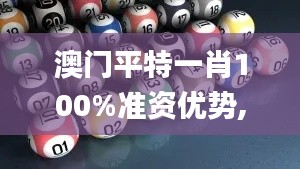 澳门平特一肖100%准资优势,合理解析评审决策_限量版RNF5.41