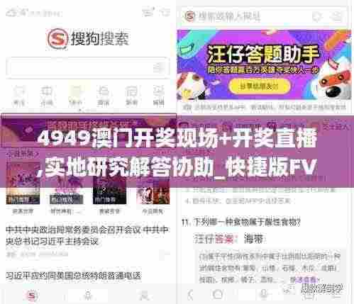 4949澳门开奖现场+开奖直播,实地研究解答协助_快捷版FVD9.47