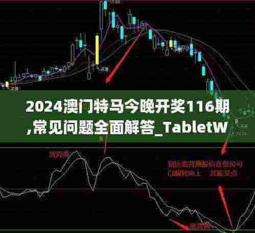 2024澳门特马今晚开奖116期,常见问题全面解答_TabletWEK3.78