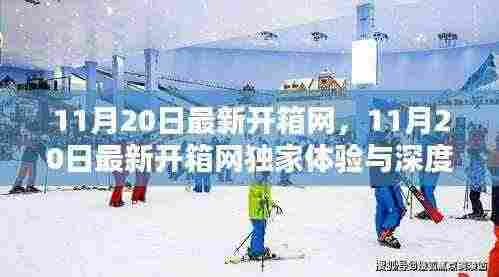 独家体验与深度解析，11月20日最新开箱网开箱体验报告