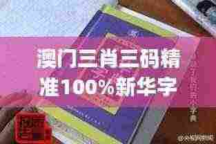 澳门三肖三码精准100%新华字典335期,逻辑解析解答解释方案_XRY6.16