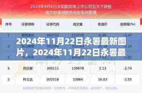 永暑最新图片展示，2024年11月22日最新照片