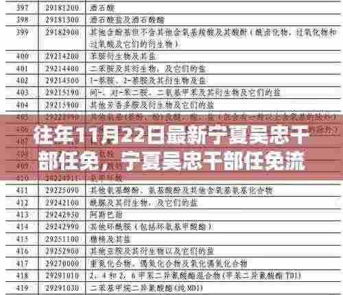 宁夏吴忠干部任免详解，参与决策过程的步骤与流程揭秘