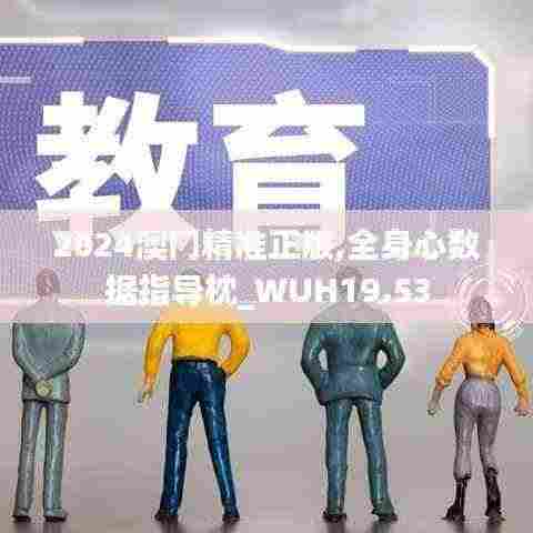 2024澳门精准正版,全身心数据指导枕_WUH19.53