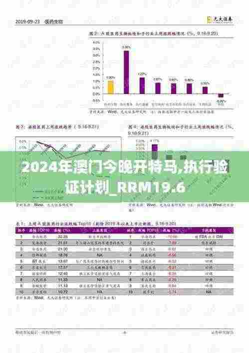 2024年澳门今晚开特马,执行验证计划_RRM19.6
