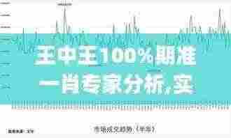 王中王100%期准一肖专家分析,实时数据分析_HHB9.23