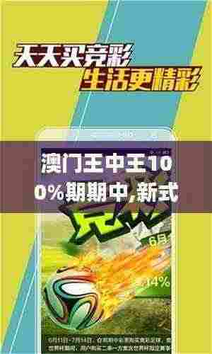 澳门王中王100%期期中,新式数据解释设想_DIB19.69