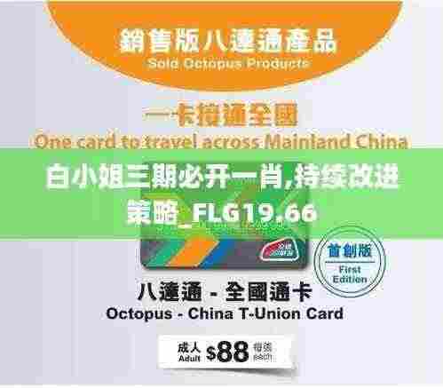 白小姐三期必开一肖,持续改进策略_FLG19.66