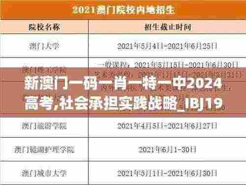 新澳门一码一肖一特一中2024高考,社会承担实践战略_IBJ19.6