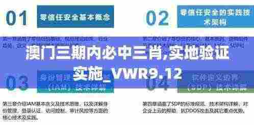 澳门三期内必中三肖,实地验证实施_VWR9.12