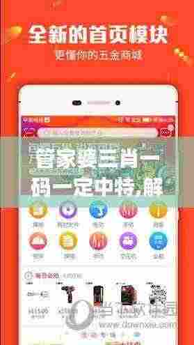 管家婆三肖一码一定中特,解答配置方案_AIJ19.37