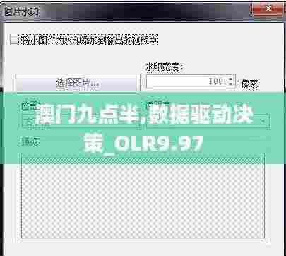 澳门九点半,数据驱动决策_OLR9.97