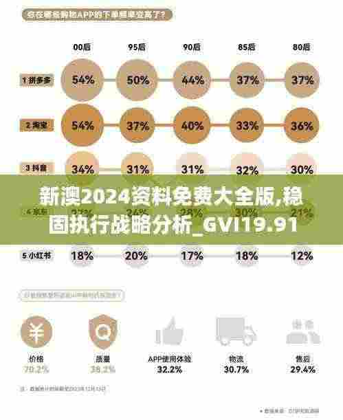 新澳2024资料免费大全版,稳固执行战略分析_GVI19.91