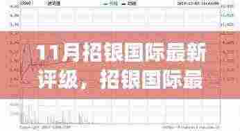 深度解读与观点碰撞，招银国际最新评级公布及分析