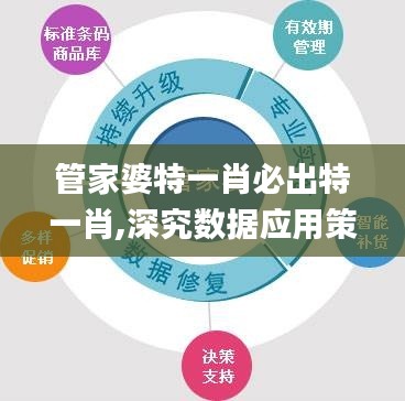 管家婆特一肖必出特一肖,深究数据应用策略_RVO9.86