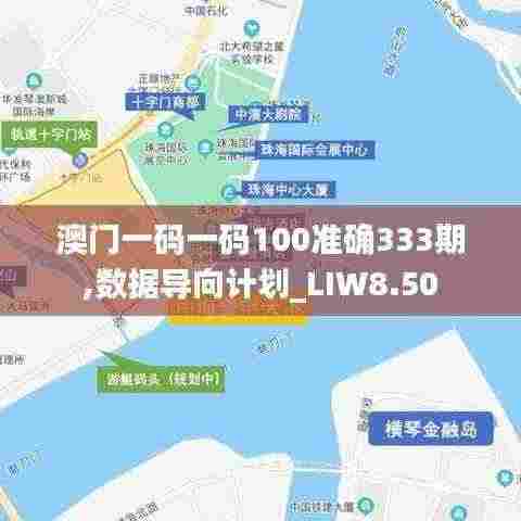 澳门一码一码100准确333期,数据导向计划_LIW8.50