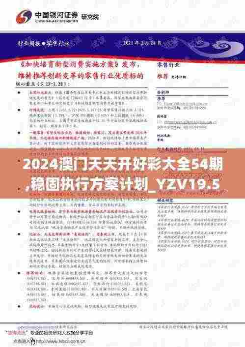 2024澳门天天开好彩大全54期,稳固执行方案计划_YZV19.56