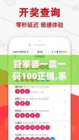 管家婆一票一码100正确,系统分析方案设计_UPG19.70