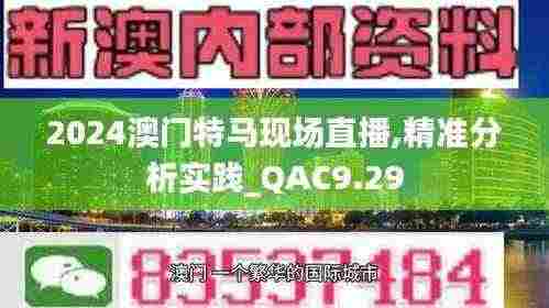 2024澳门特马现场直播,精准分析实践_QAC9.29