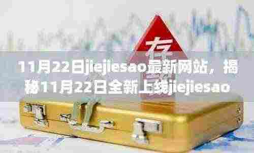 揭秘全新上线jiejiesao网站，科技重塑生活体验，11月22日震撼登场！