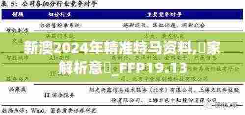 新澳2024年精准特马资料,專家解析意見_FFP19.13