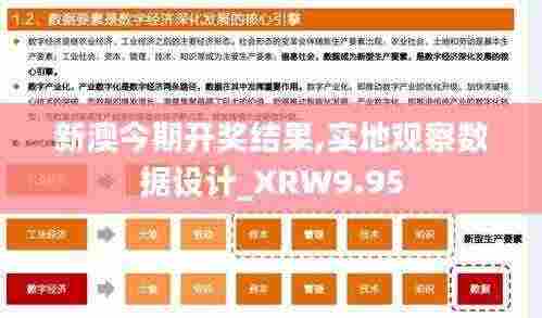 新澳今期开奖结果,实地观察数据设计_XRW9.95