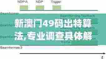 新澳门49码出特算法,专业调查具体解析_VTU19.9