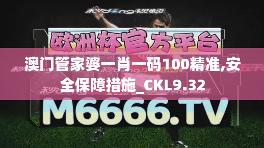 澳门管家婆一肖一码100精准,安全保障措施_CKL9.32