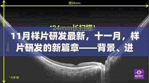 十一月样片研发新篇章，深度解析背景、进展与领域地位