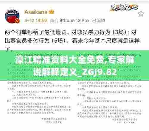濠江精准资料大全免费,专家解说解释定义_ZGJ9.82