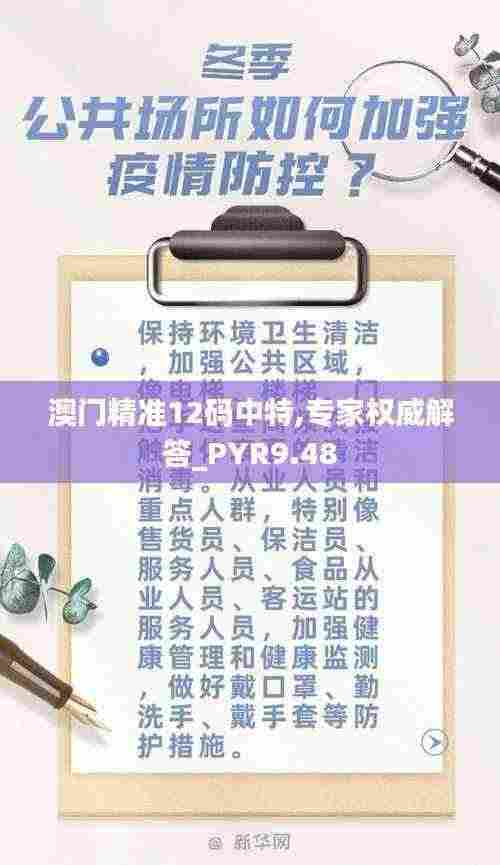澳门精准12码中特,专家权威解答_PYR9.48