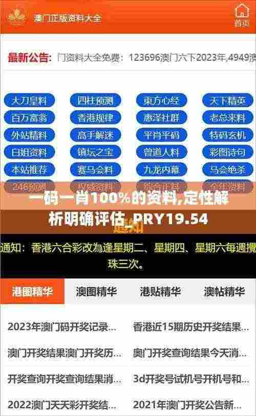 一码一肖100%的资料,定性解析明确评估_PRY19.54