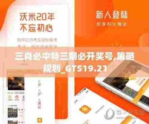 三肖必中特三期必开奖号,策略规划_GTS19.21