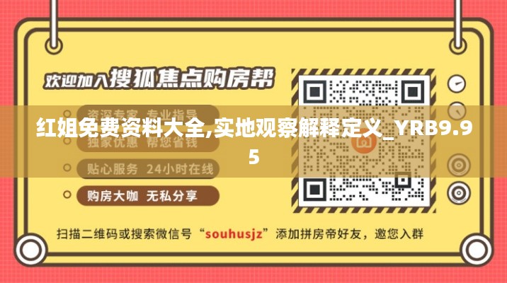 红姐免费资料大全,实地观察解释定义_YRB9.95