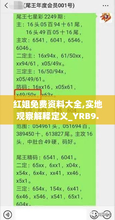 红姐免费资料大全,实地观察解释定义_YRB9.95