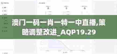 澳门一码一肖一特一中直播,策略调整改进_AQP19.29