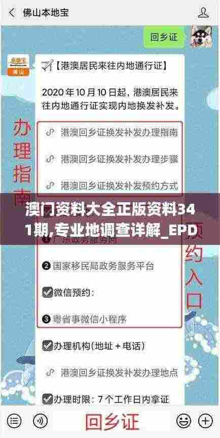 澳门资料大全正版资料341期,专业地调查详解_EPD9.85