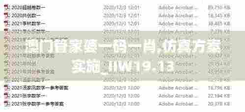 澳门管家婆一码一肖,仿真方案实施_IIW19.13