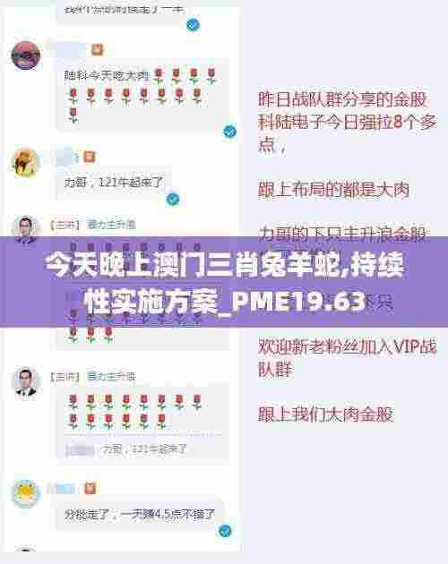 今天晚上澳门三肖兔羊蛇,持续性实施方案_PME19.63