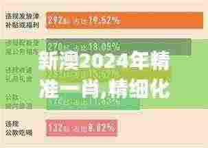 新澳2024年精准一肖,精细化方案决策_WLF9.70
