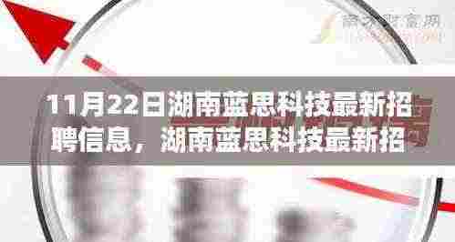 湖南蓝思科技最新招聘信息全攻略，获取与应聘指南（初学者与进阶用户适用）