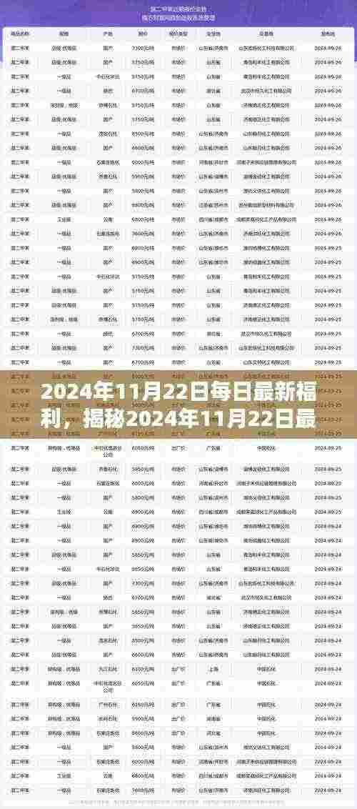 2024年11月22日精彩福利盛宴揭秘，不容错过的最新福利大放送